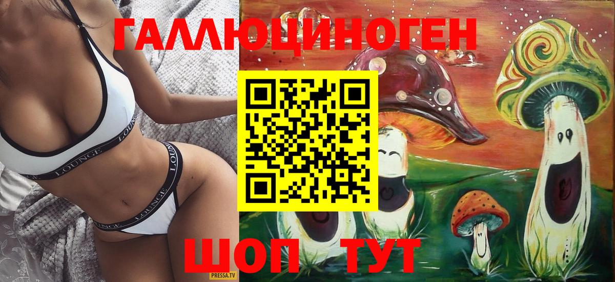 Новосибирск  Галлюциногенные грибы Magic Shrooms  Вход с VPN  Псилоцибиновые грибы Magic Shrooms 